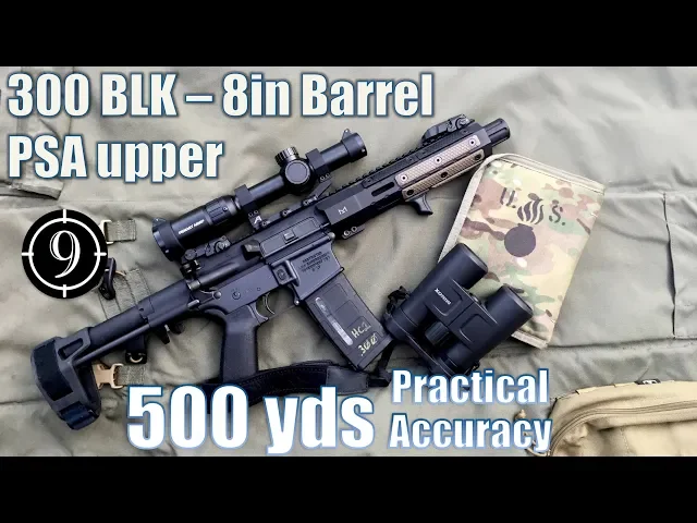psa 300blk upper (8in barrel),the dirt squirrel to 500yds: practical accuracy